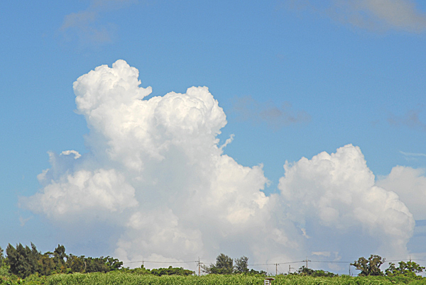 100_07-07-10_19.jpg
