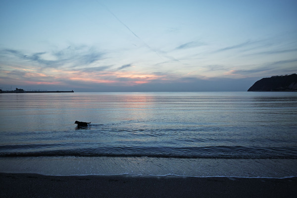 1140A-17-01-07-DP0Q5366.jpg