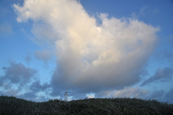 2009-10-06_3133.jpg