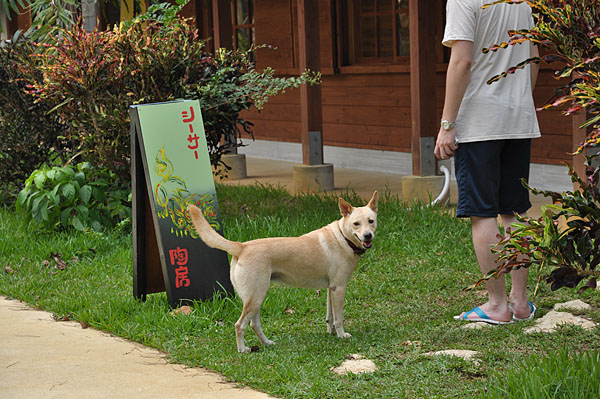 2009-10-07_3163.jpg