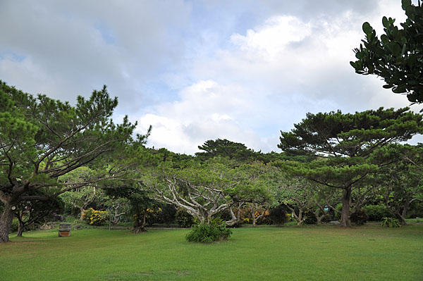 2009-10-07_3169.jpg