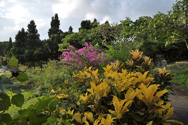 2009-10-07_3188.jpg