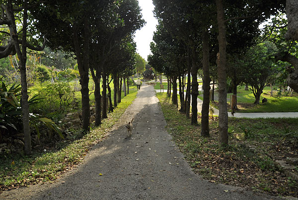 2009-10-07_3198.jpg