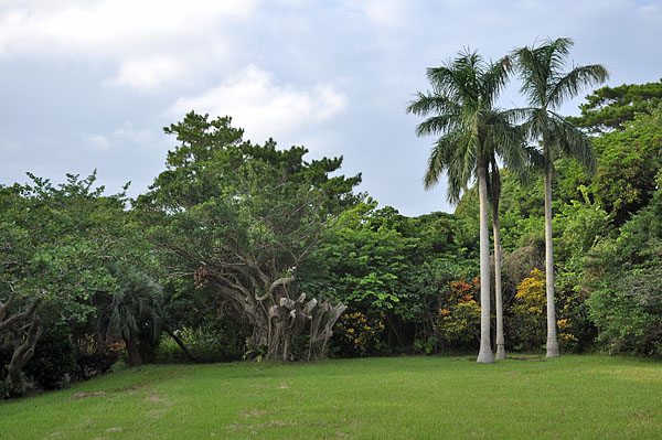 2009-10-07_3204.jpg