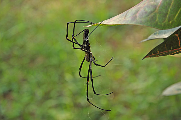 2009-10-07_3218.jpg