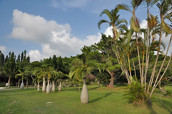 2009-10-07_3227.jpg