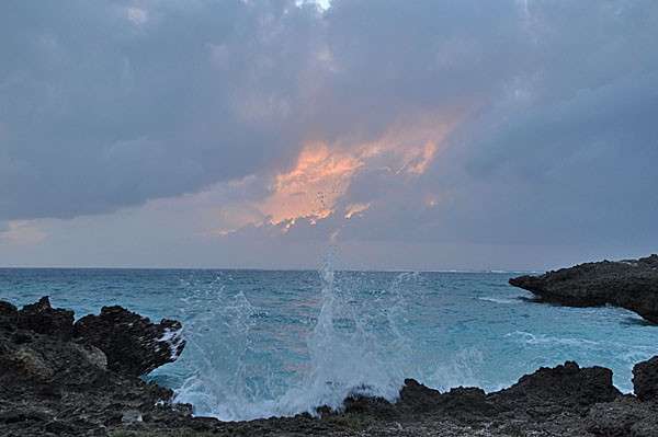 2009-10-07_3297.jpg