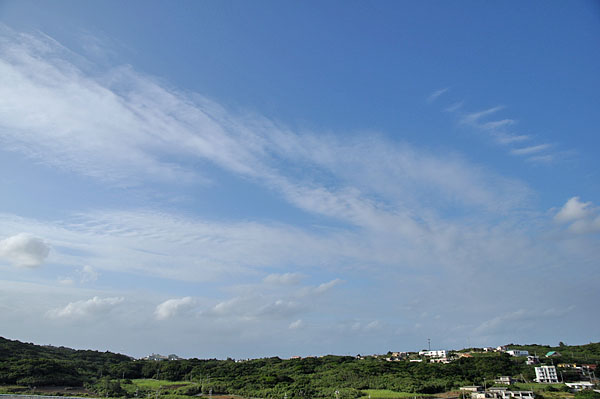 2009-10-08_3463.jpg