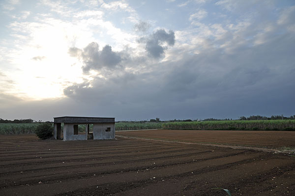 2009-10-08_3478.jpg