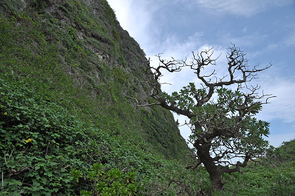 2009-10-10_3516.jpg