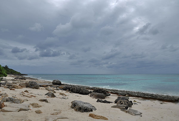 2009-10-10_3535.jpg
