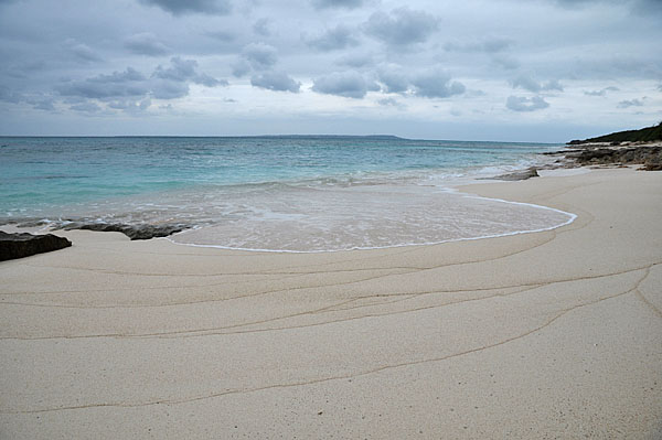 2009-10-10_3599.jpg