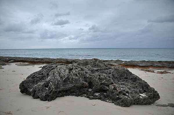 2009-10-10_3616.jpg